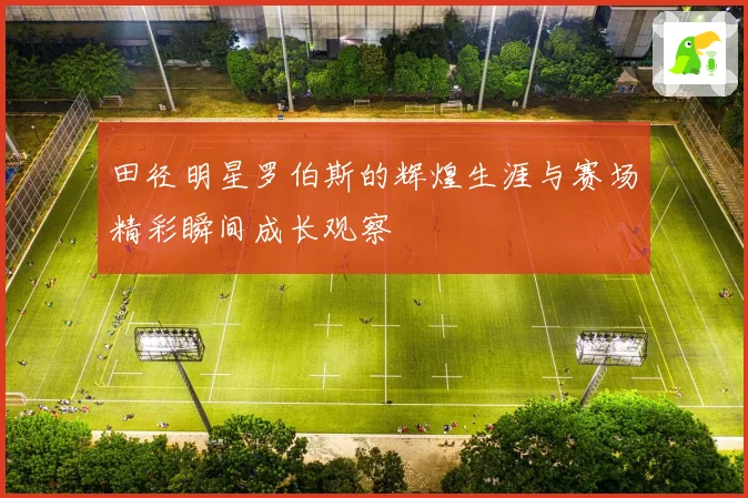 田径明星罗伯斯的辉煌生涯与赛场精彩瞬间成长观察