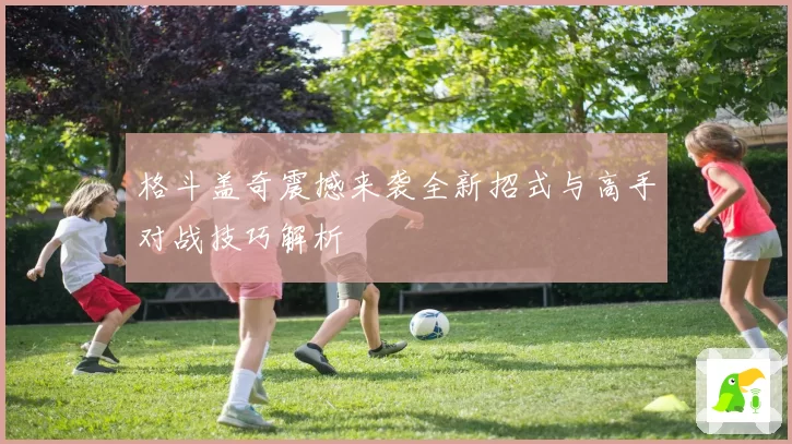 格斗盖奇震撼来袭全新招式与高手对战技巧解析
