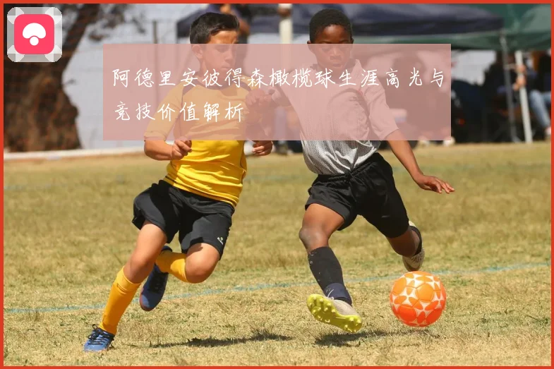 阿德里安彼得森橄榄球生涯高光与竞技价值解析